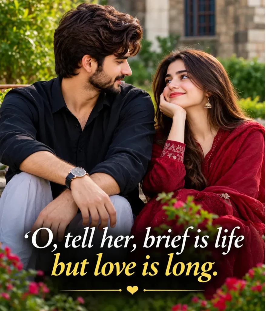 poetry-happy-couple-quotes